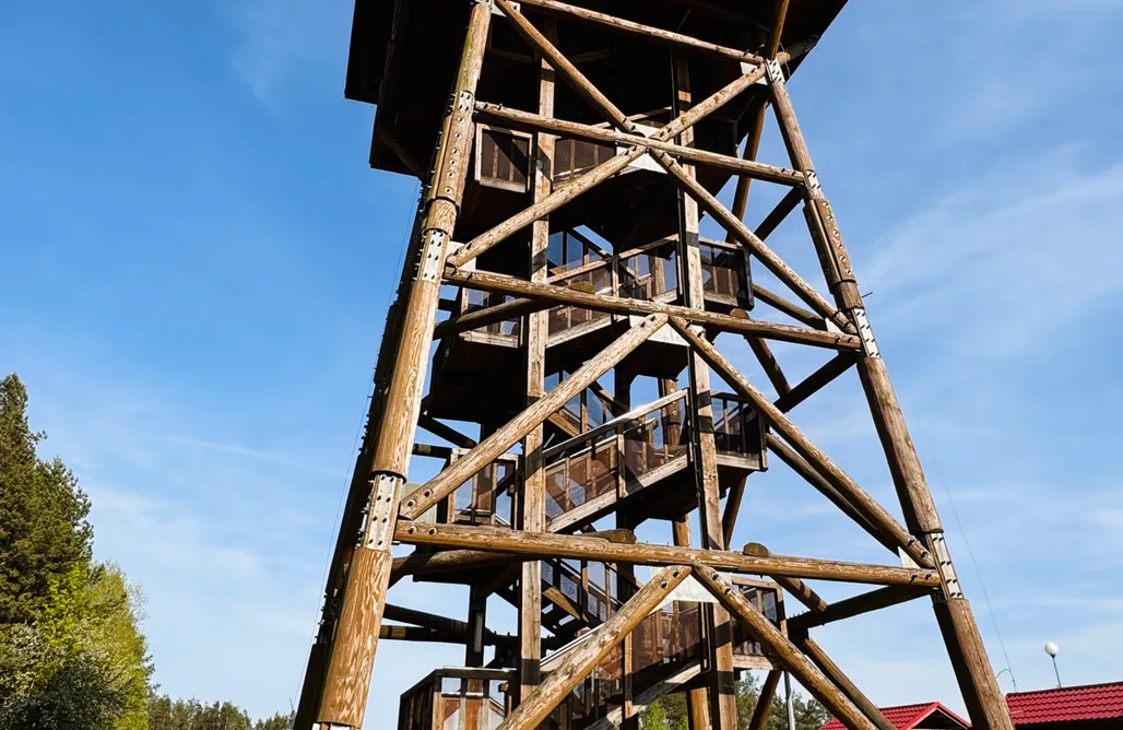 Alloggi AlohaCamp Forest Mood 1