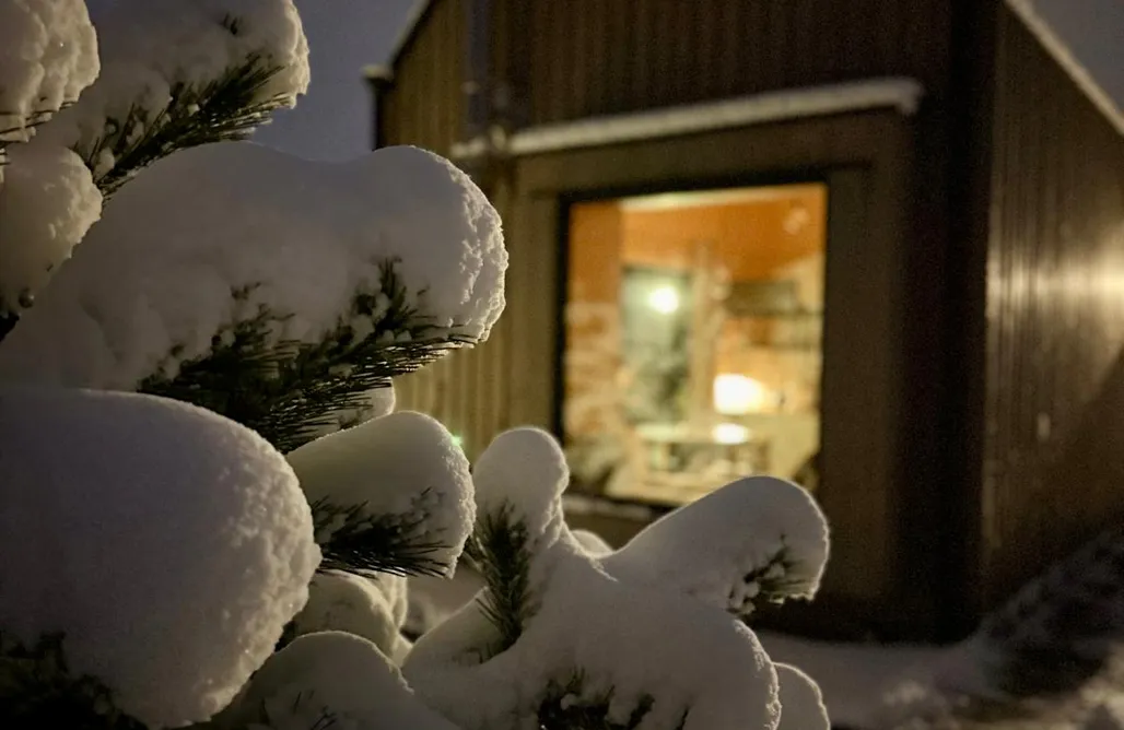 AlohaCamp.com 🌲 + opolskie Hvile, gmina Brenna - Beskidy  3