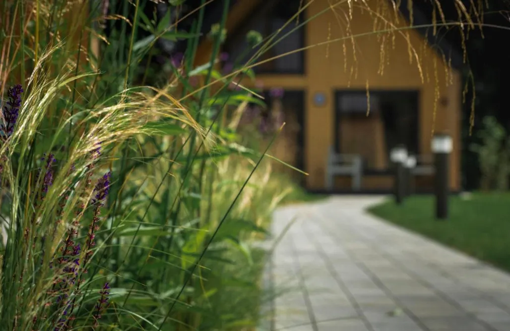 AlohaCamp Dom Brzoza 2