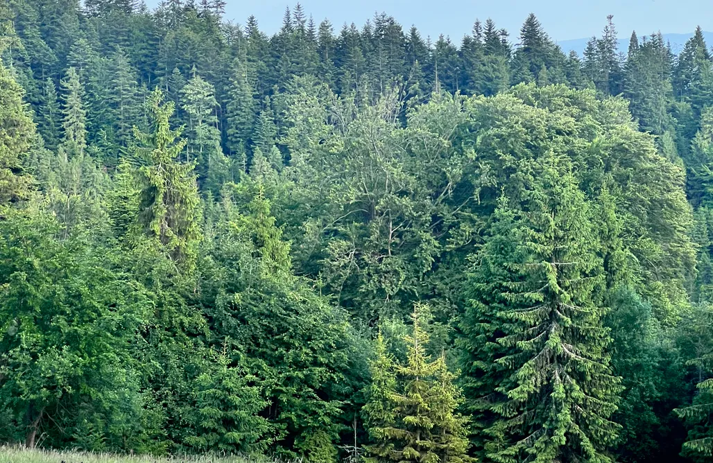 AlohaCamp Terenówka Bacówka 1