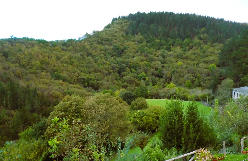 alojamientos AlohaCamp Rincon de Oscos 1