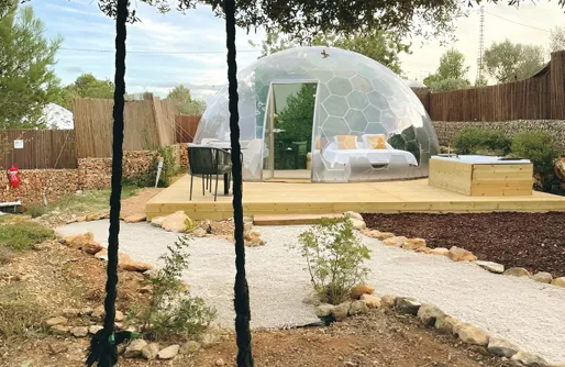 Imagen de Burbuja Gran Olivo