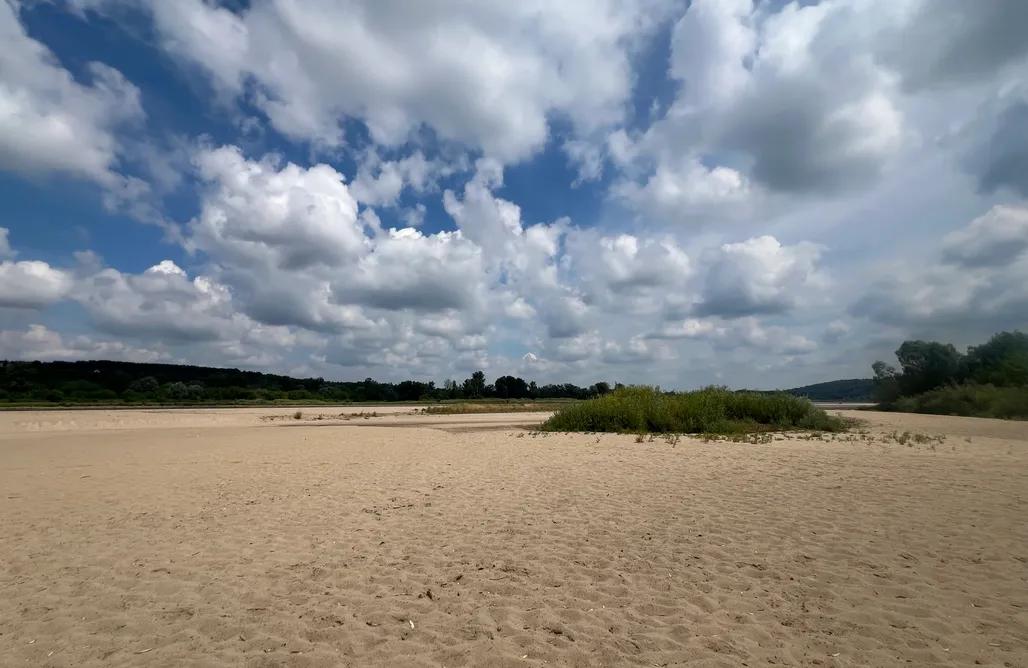 noclegi AlohaCamp Na Skraju Lasu - Glamping 1