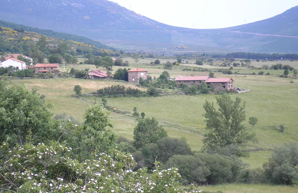 alojamientos AlohaCamp Alojamiento Rural Los Tilos  1