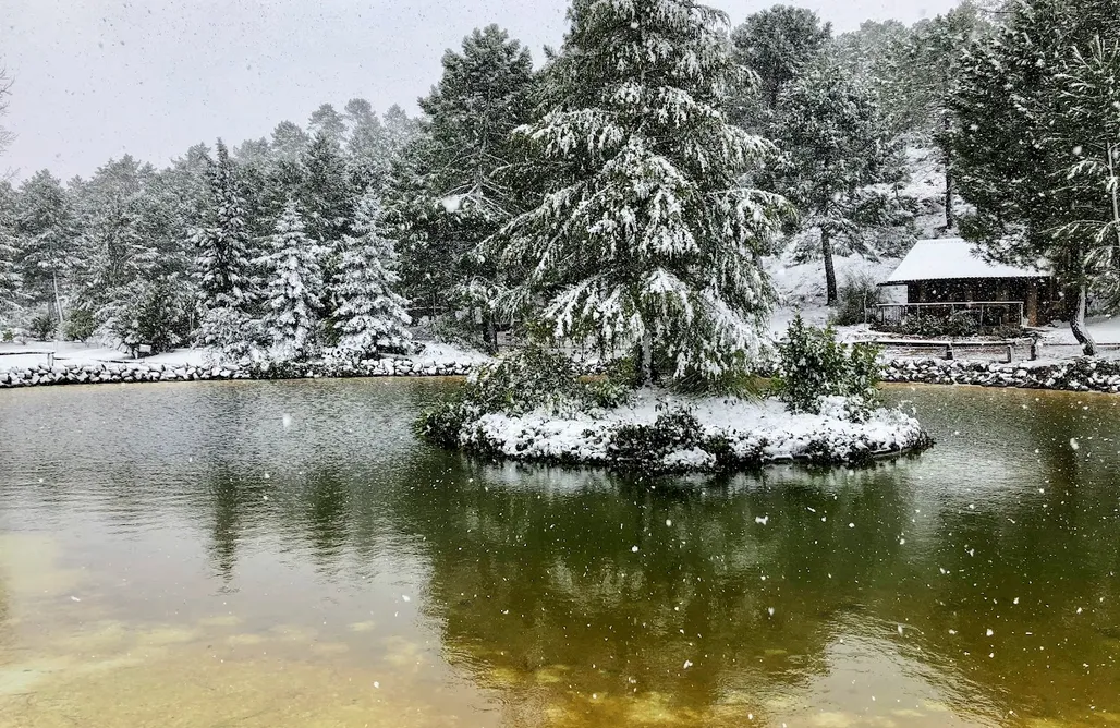 Alojamiento en Villahermosa Zafiro Lagunazo 1