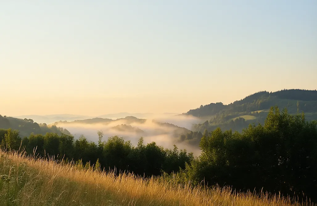 Domki nad Jeziorem Małopolskie Siedlisko Ogródek The Tiny House 1