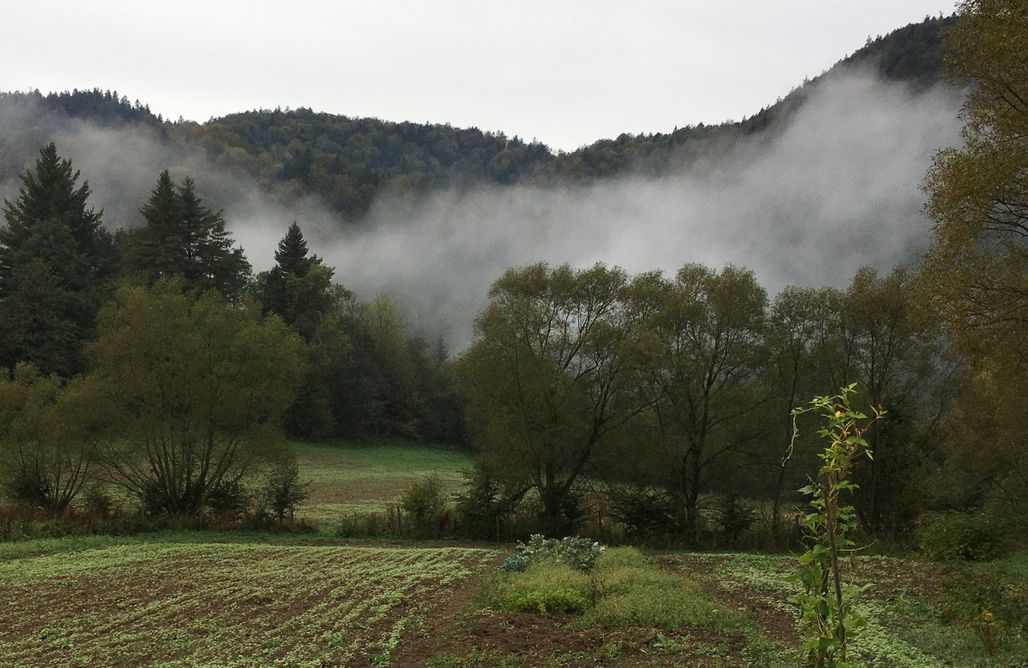 Alloggi AlohaCamp Tylko Tu i Teraz 1