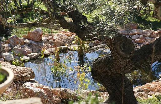 Imagen de Casa árbol - Ecoturismo Delta del Ebro