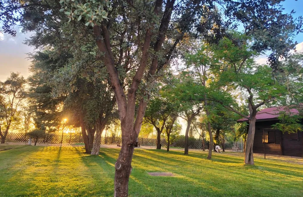 Hotel con Piscina Privada Madrid Cabaña en Castilla La Mancha para ocho personas 1