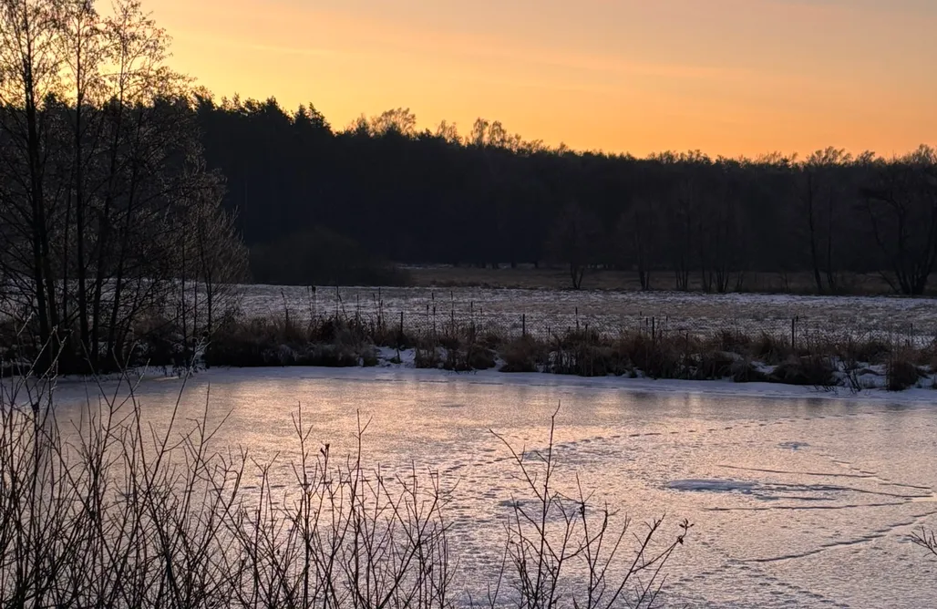 Last Minute Długi Weekend Czerwcowy Siedlisko Żurawie - cisza, natura i komfort na końcu świata 3