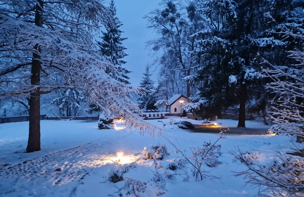 noclegi AlohaCamp Jeziorowskie16 1