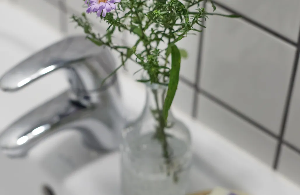 AlohaCamp Pokój Zielony 3