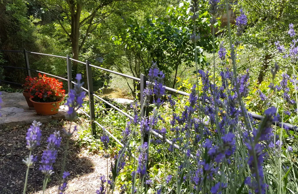 AlohaCamp accommodation Molí de Sotorres  1