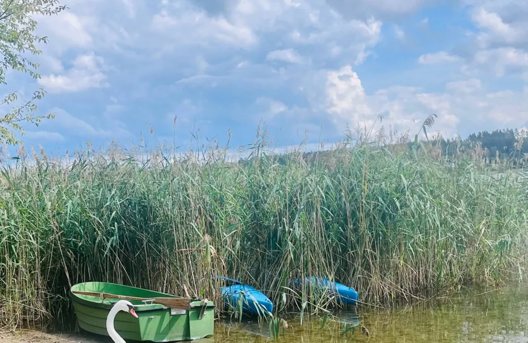 noclegi AlohaCamp Zelwa Pauza - domek nad jeziorem 5