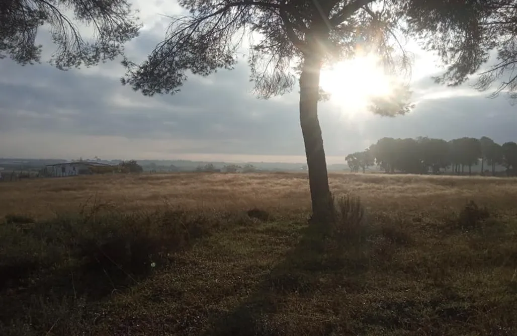 alojamientos AlohaCamp Sitio para caravanas y tiendas - La Pampa 4