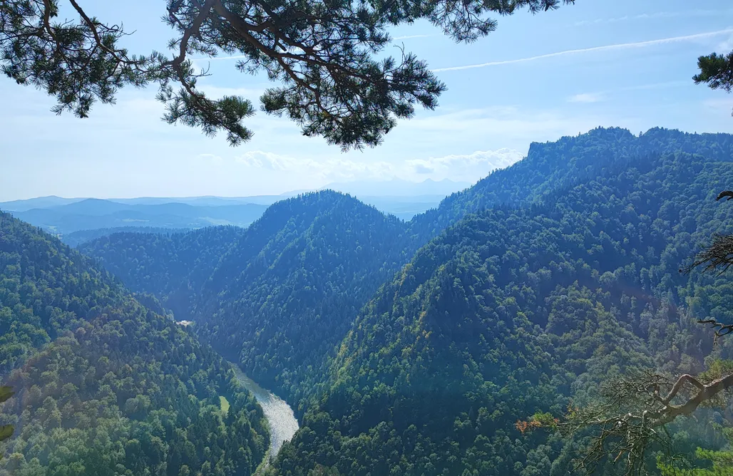 noclegi AlohaCamp Gorcowa Hala  1