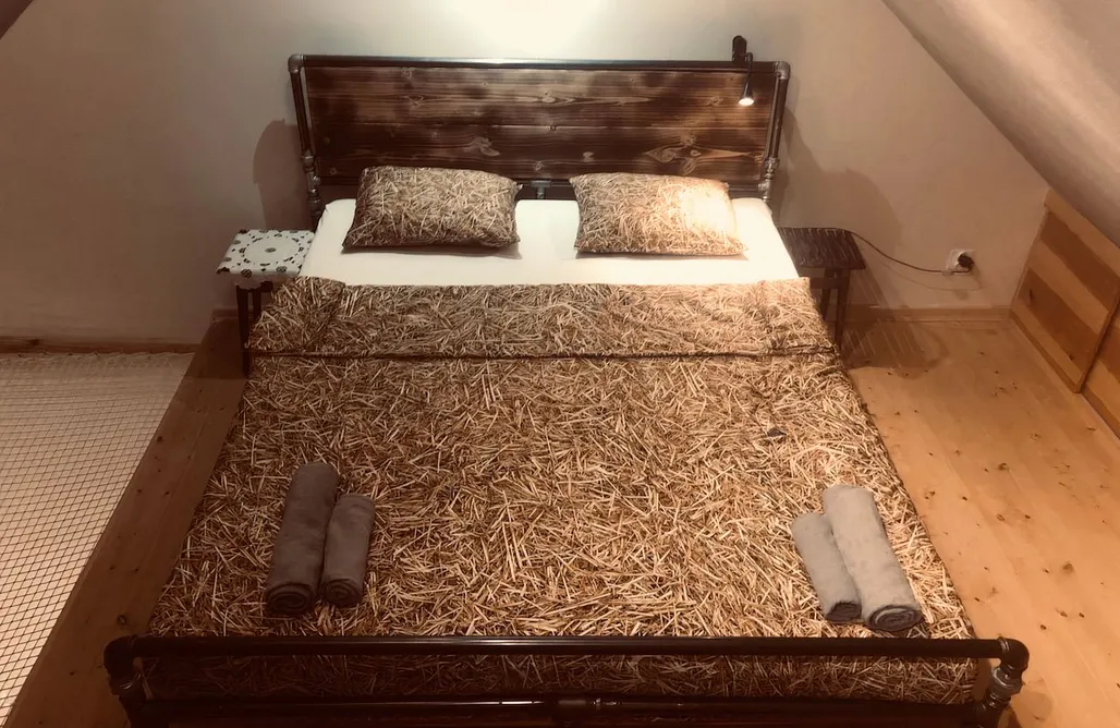 AlohaCamp Ekologiczny domek nad jeziorem 2