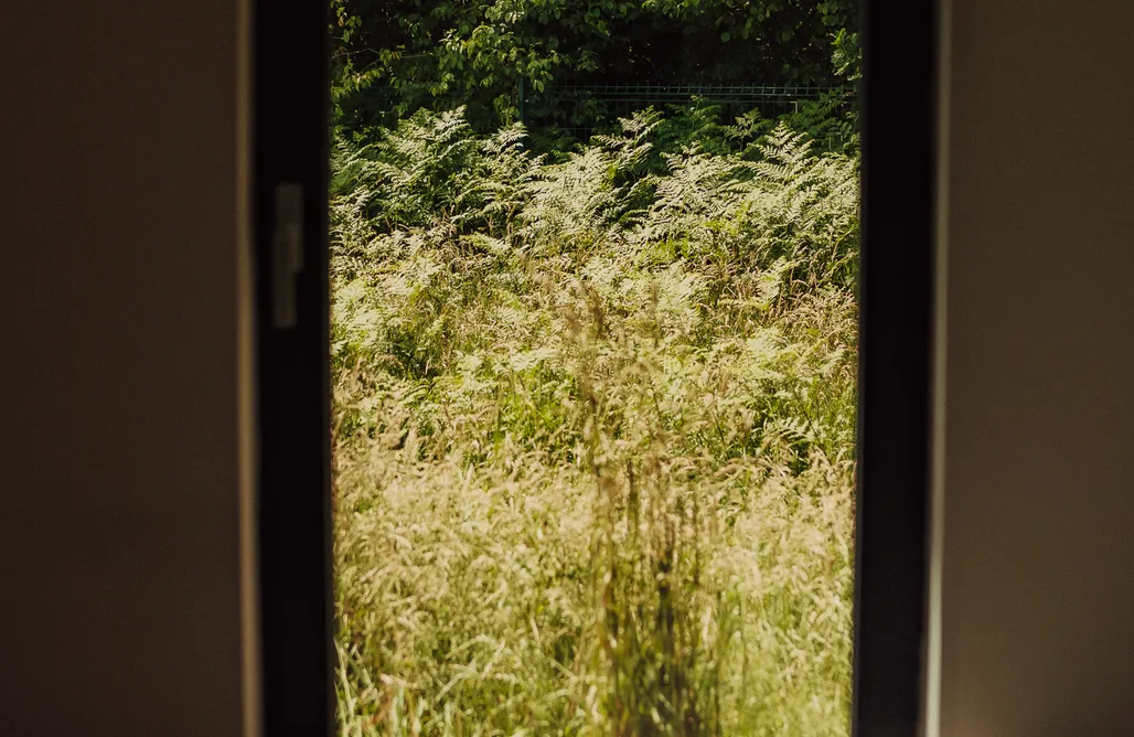 AlohaCamp Domek 1 - Irys 3