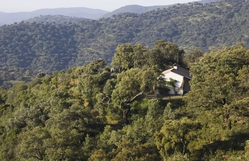 AlohaCamp accommodation Sierra Norte 3