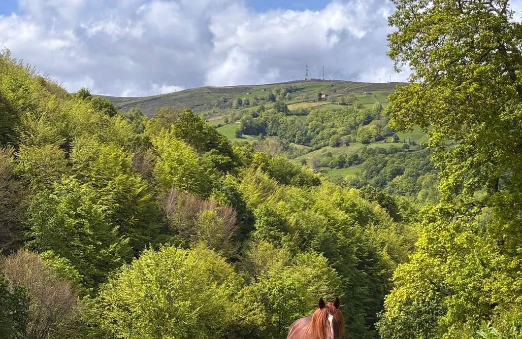 alojamientos AlohaCamp Lo Macario Cabaña Pasiega 4