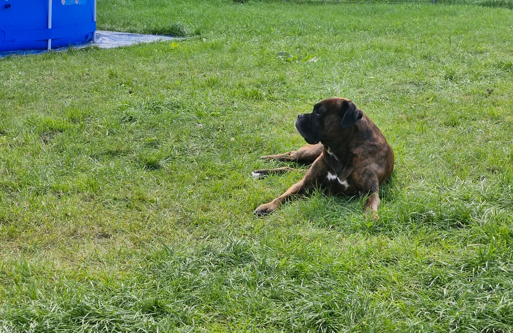 noclegi AlohaCamp Słoneczne Wzgórze Domki pod Lasem  1