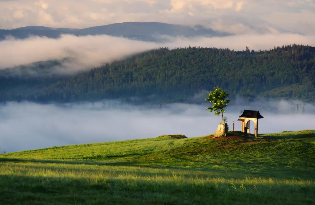 noclegi AlohaCamp Montini domki na szczycie  4