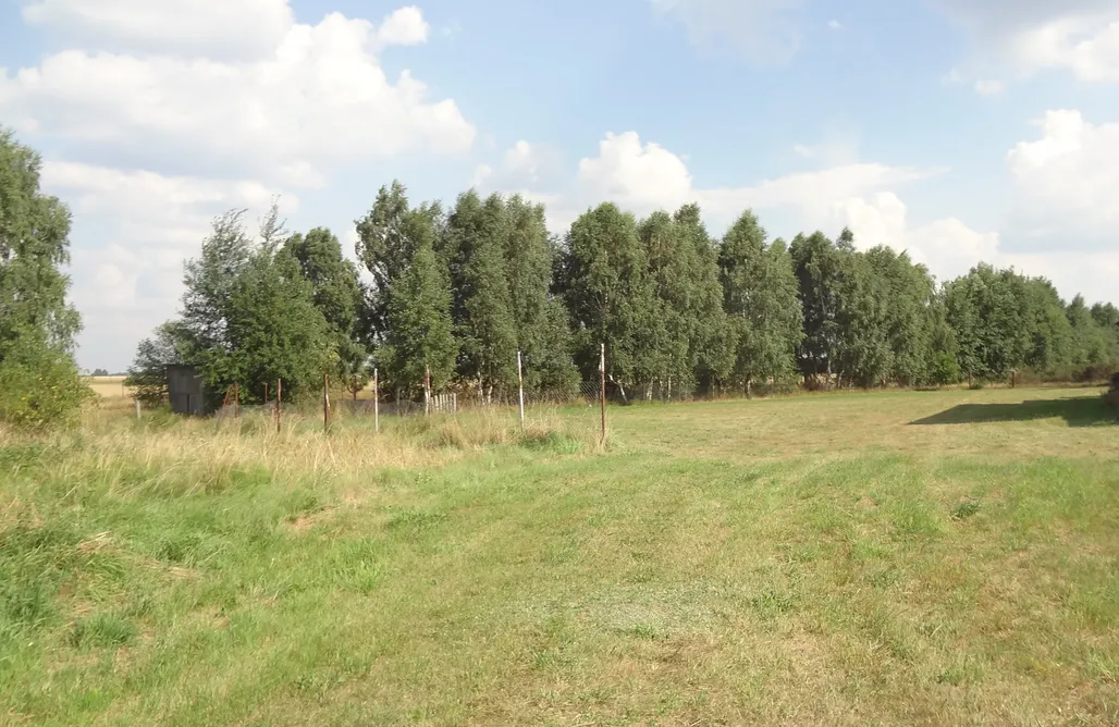 Camping Poland Miejsce kamperowe - Agro Camp Buggy 3