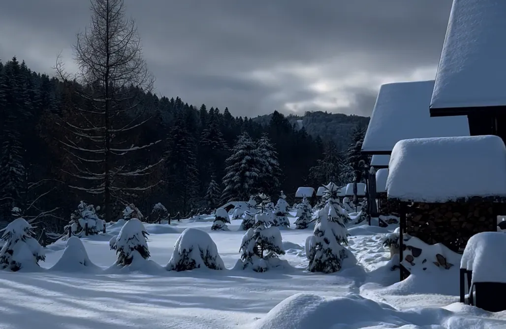 noclegi AlohaCamp Szumilove Domki z saunami 5