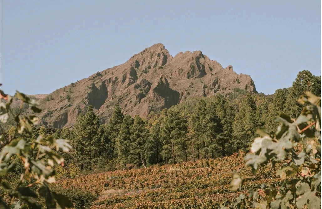 noclegi AlohaCamp Finca Ecológica Ferrera. Alojamiento Rural.  1