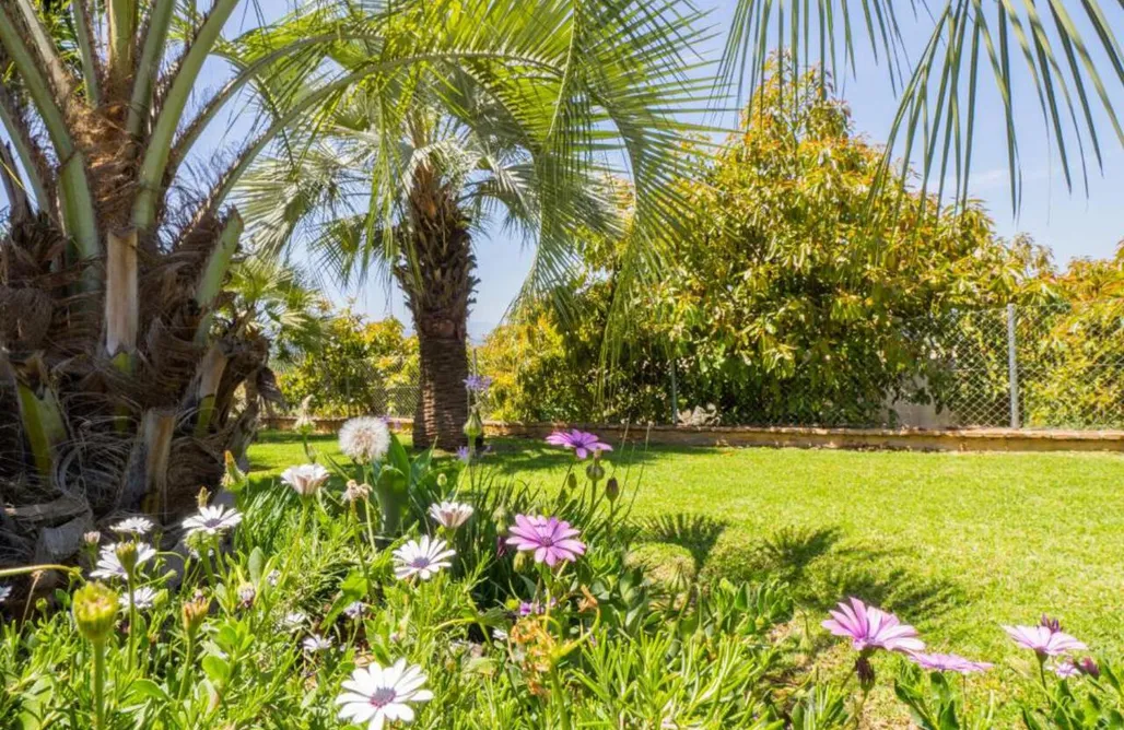 alojamientos AlohaCamp Finca Los Dragos 1