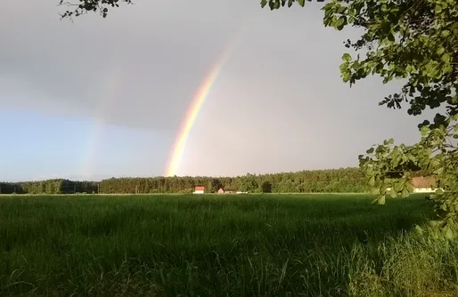 Zdjęcie obiektu Bębnikąt Osada Leśna w Puszczy Noteckiej