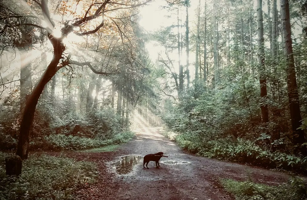 AlohaCamp accommodation Forsthaus Hohe Heide 5