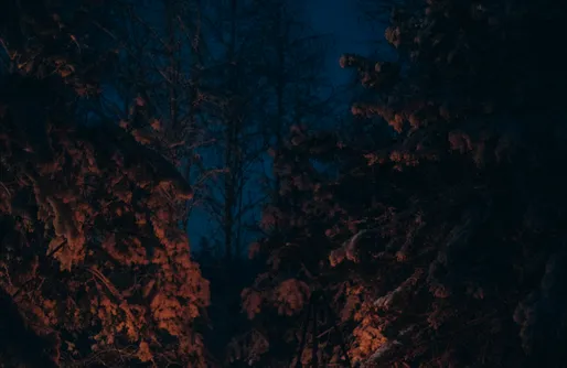 Zdjęcie obiektu Charszówka