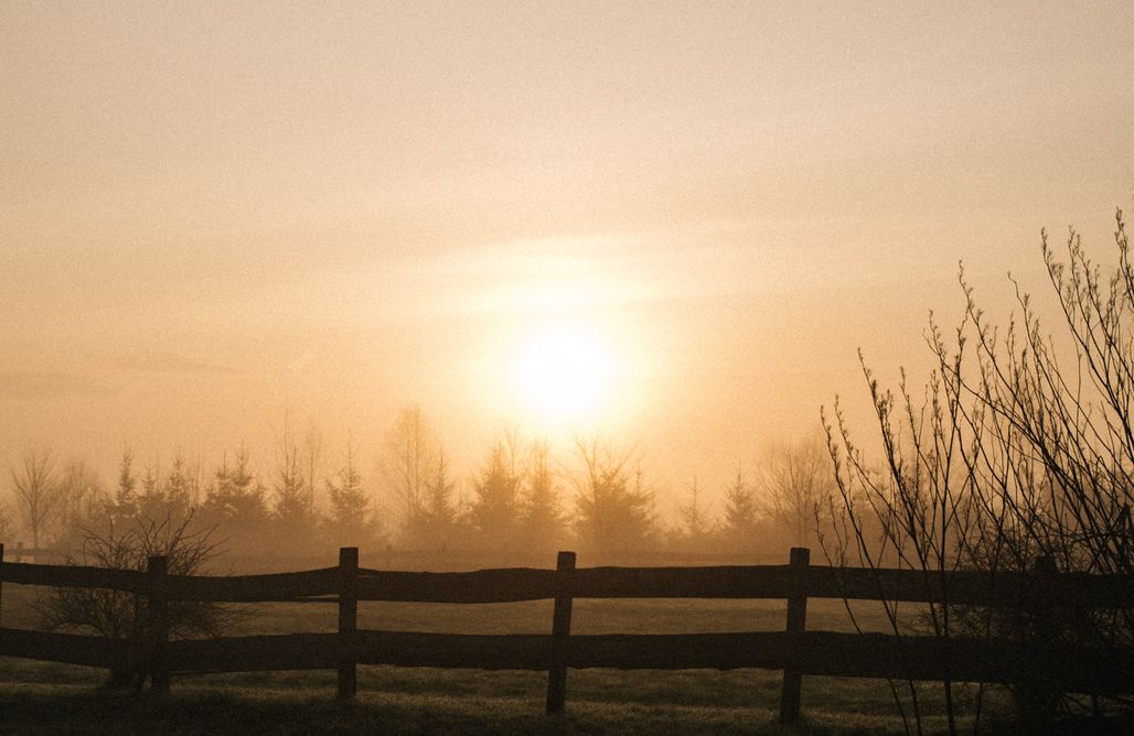 noclegi AlohaCamp Fejny Dom 1