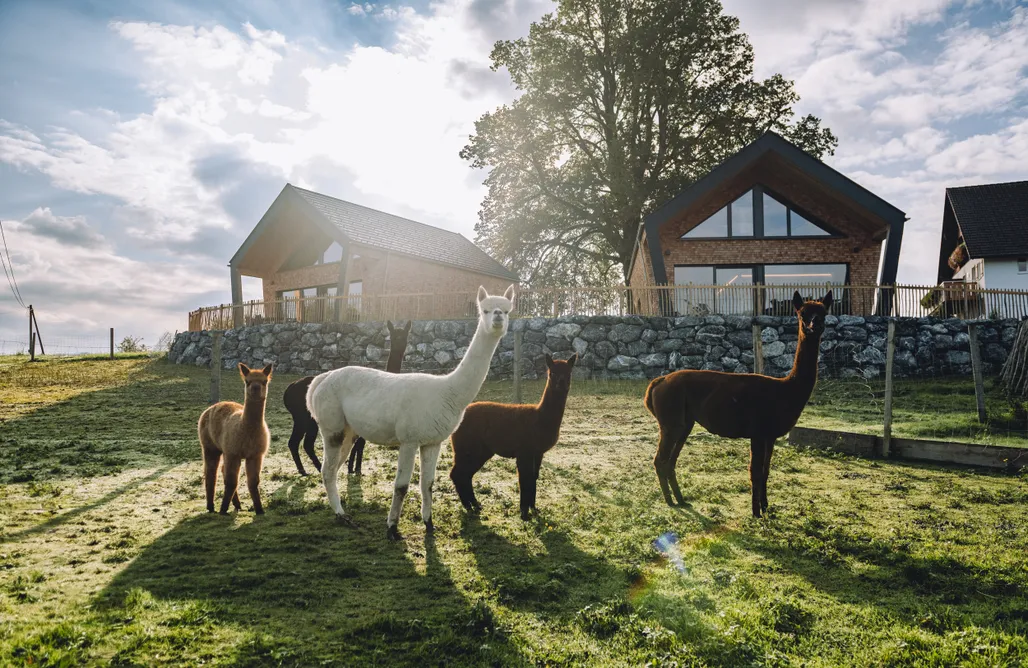 Lindenhof Chalets AlohaCamp