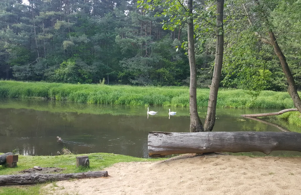 Pole Namiotowe Opolskie Miejsce kamperowe i namiotowe - Suchany nad Liswartą 1