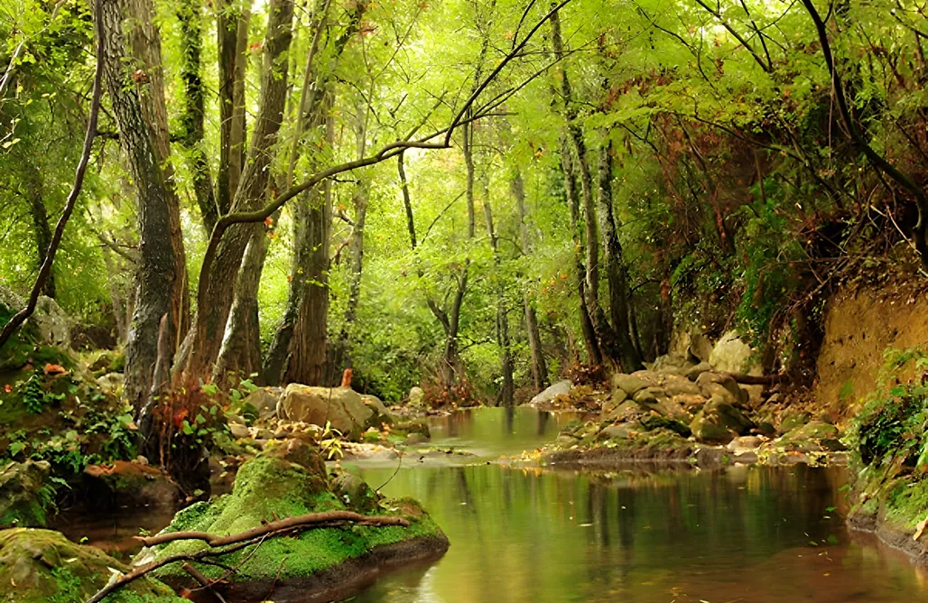 AlohaCamp Exclusiva Casa Palacio del siglo XVI en Cazalla de la Sierra 1