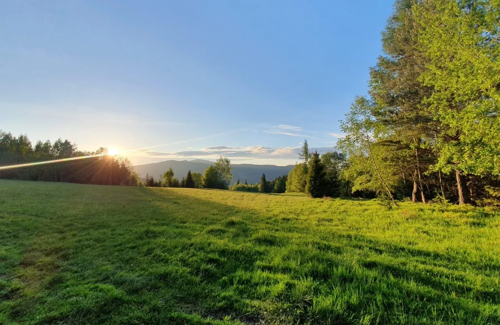 AlohaCamp accommodation Honey Inn 4