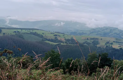 Imagen de Sitio para tiendas de campaña - La Arrulla