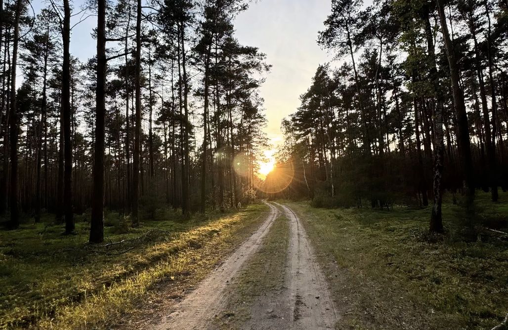 noclegi AlohaCamp Domek na Polanie Green Fields  5