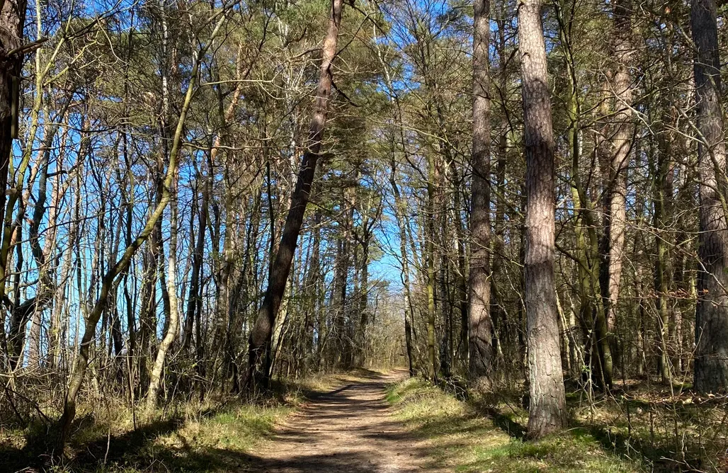 Domki Pobierowo Casa Bonita Niechorze 1