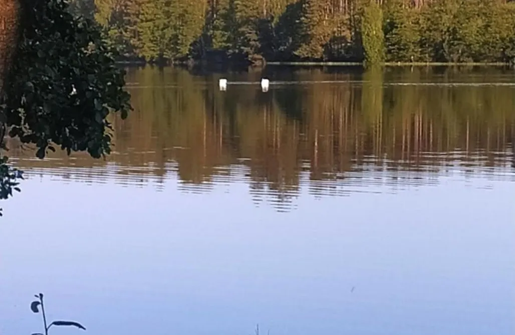 noclegi AlohaCamp 4 Pory Kaszub - Domek z banią i sauną 1