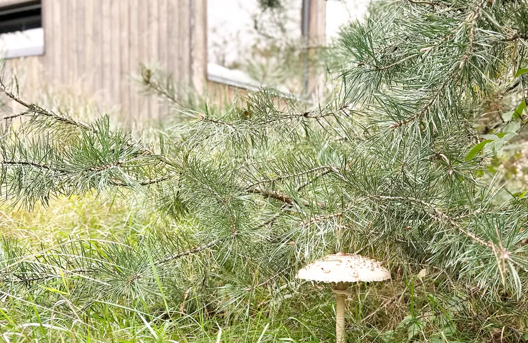 noclegi AlohaCamp Rest Place  5