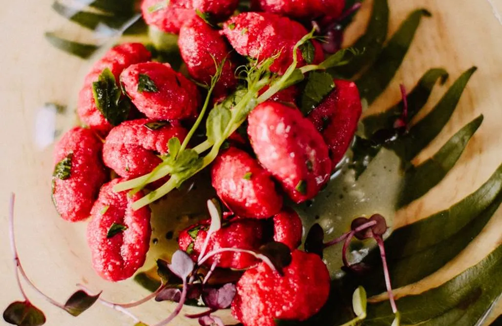 AlohaCamp accommodation Przepitki & Przekąski 1