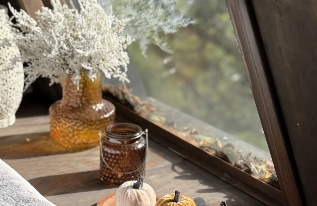 noclegi AlohaCamp Slow Szopa 5