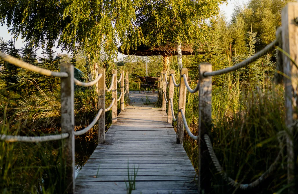 noclegi AlohaCamp Zatylove domki - Brzozowy 3