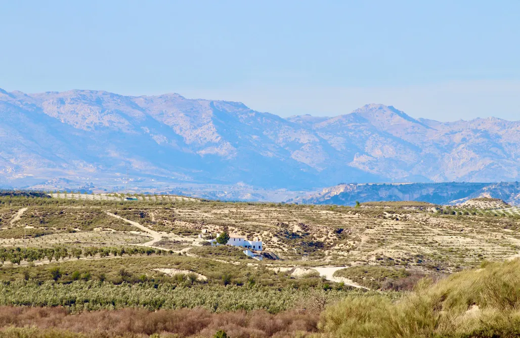 alojamientos AlohaCamp Las Dunas Caves : Olivo 5