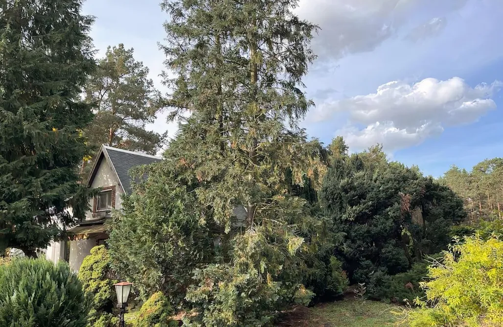 Agroturystyka Lubuskie Modernes Waldhaus im Spreewald 1