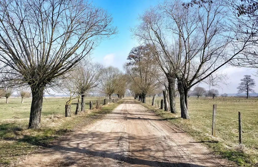 Orla noclegi Prywatny Domek koło Tykocina  1
