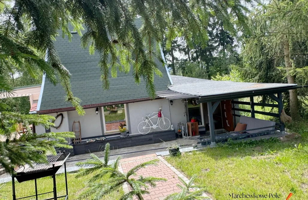 AlohaCamp Marchewkowe Pole 1